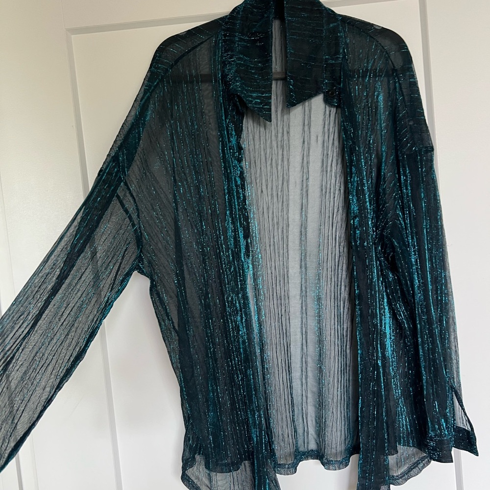 Sheer Teal Striped Blouse